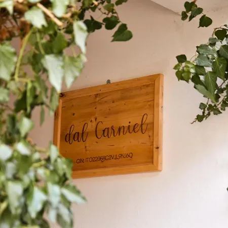 Apartment Dal Carniel *